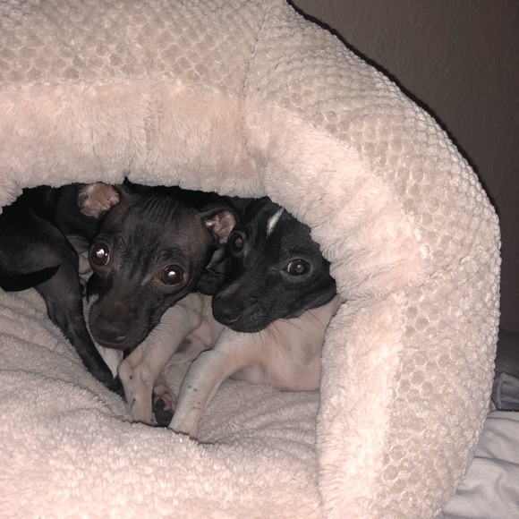 Meet your Posher, Rebeca - Picture 1 of 1